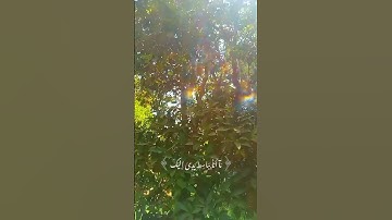 قران كريم #دويتو #المصحف #اكسبلور #duet #لايك #الرحمن #####اكسبلور #متابعه