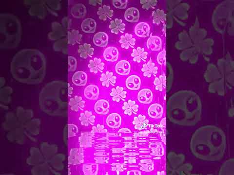 الحيلا و النية ميتقابلوش