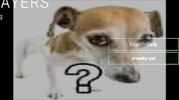 average pre game lobby (SCP:SL)