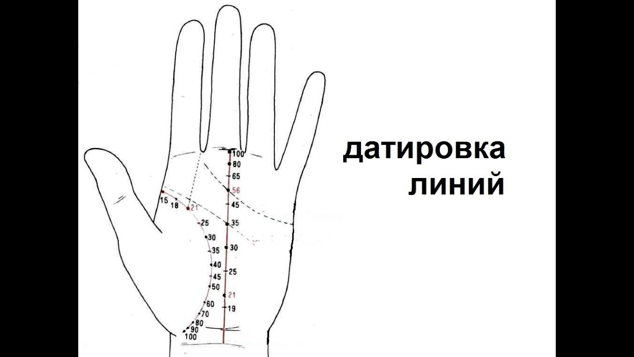 Линия жизни на руке как определить сколько. Линия жизни Датировка хиромантия. Датирование линии судьбы хиромантия. Датировка линий на руке. Датирование линии жизни.