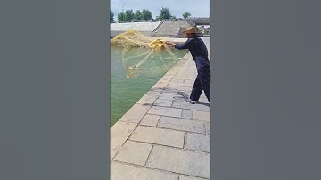 How to Throw A Cast Net   Easiest and Best Way 5