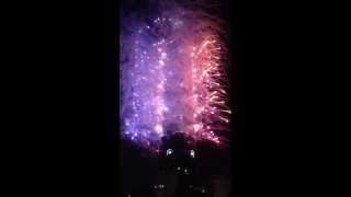 2013_2014_Taipei 101 Firework