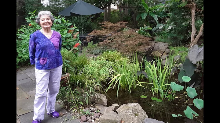Sandra Lange's Garden Oasis