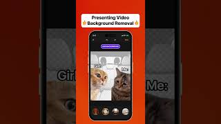 GIF BG Popular Meme 9x16