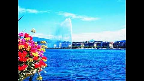 _ما اصاب من مصيبة الا بإذن الله _ .. من سورة التغابن .. رعد الكردي .. تلاوة هادئة خاشعة