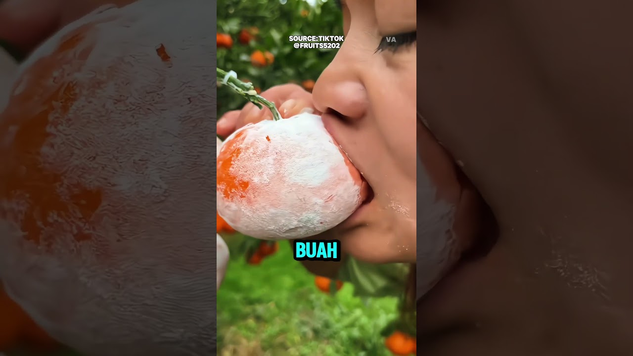 Cara Petani China Menghasilkan Jeruk Segar dan Berkualitas! 