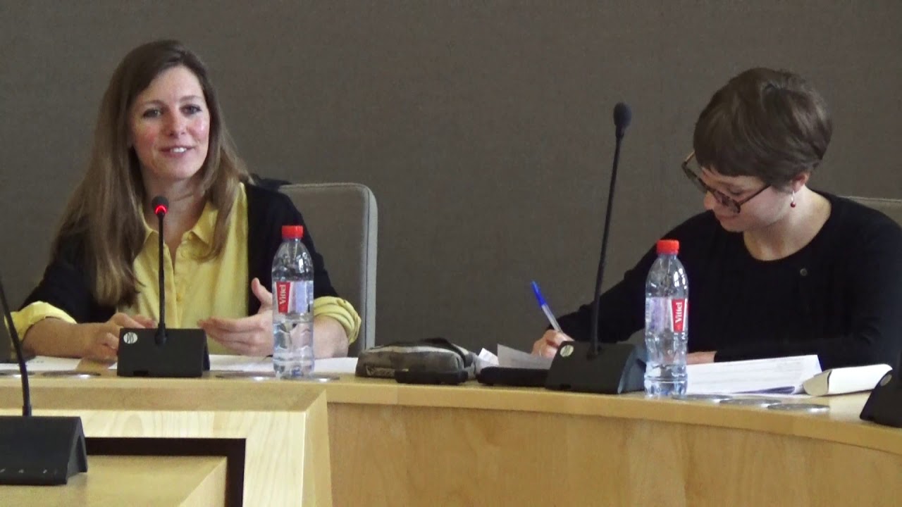 Anahid Roux Rosier : formation doctorale "Une philosophie de terrain?"