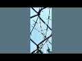 ウルエ - STuCK