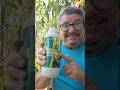 ÓLEO DE NEEM COMBATE AS PRAGAS DO JARDIM,  POMAR E HORTA #pragas #fruit #pomar