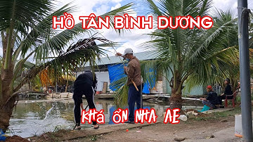 Câu cá giải trí hồ dịch vụ - hồ tân bình dương - một xuất 4con cá 1 cục xoi