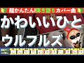 🔰【コード付き】かわいいひと / ウルフルズ 弾き語り ギター初心者