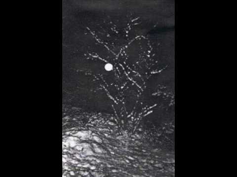 Parade -  Ritual In transfigured times Maya Deren (black metal/synth/ambient/Australia)