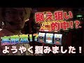 【ハナハナ】【東海】【30パイ】東海地区30パイ限定ウシオTV ＃9 in キング観光サウザンド津店 　三重県