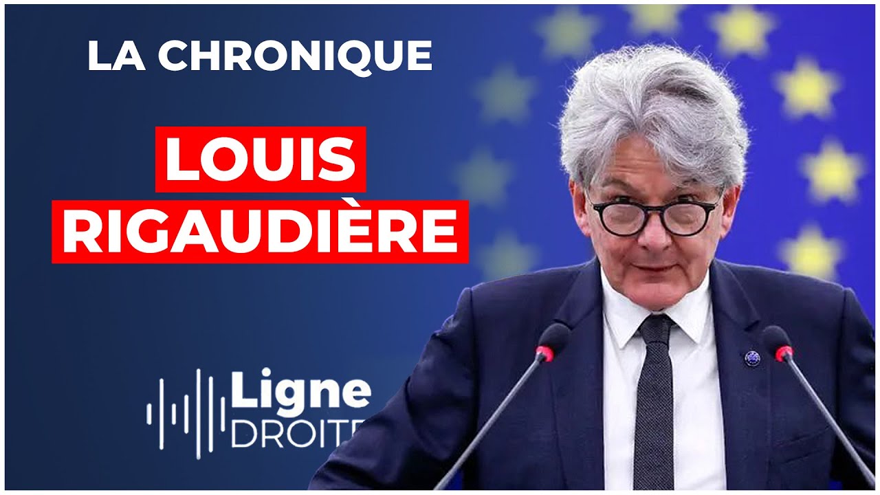 ⁣Digital Services Act : la tyrannie numérique a commencé ! - Louis Rigaudière