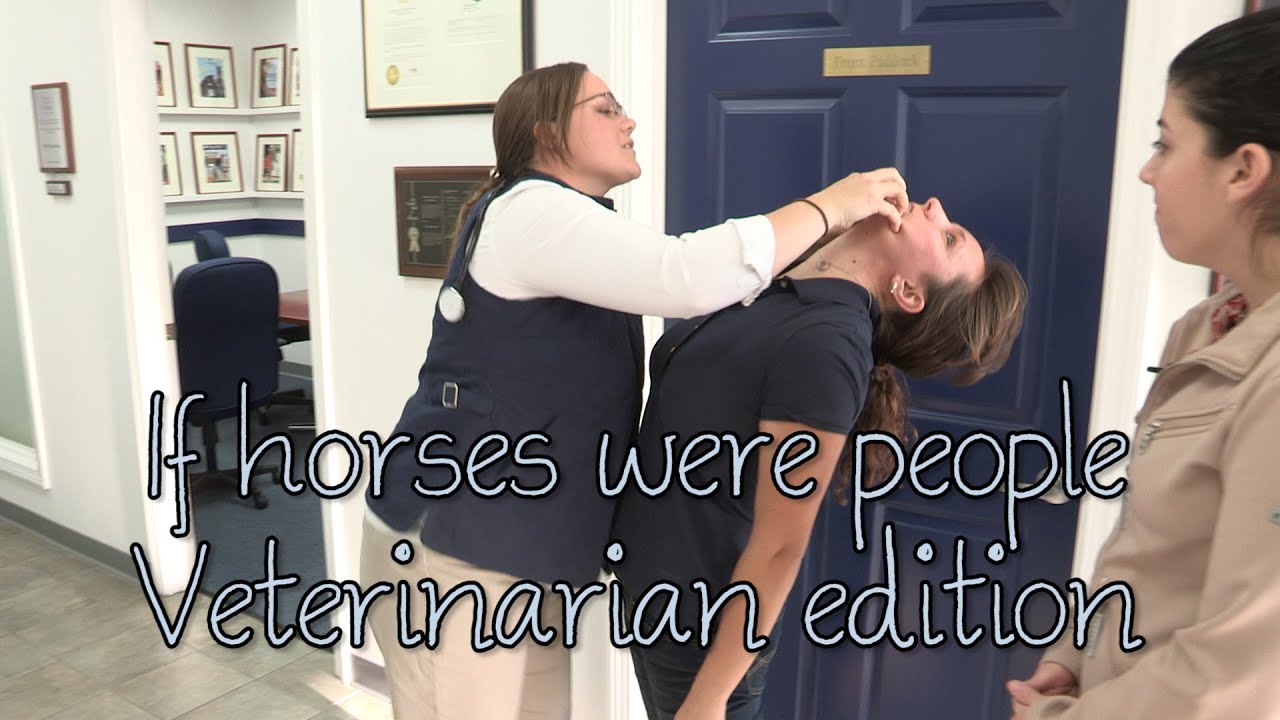 If horses were people - Veterinarian edition