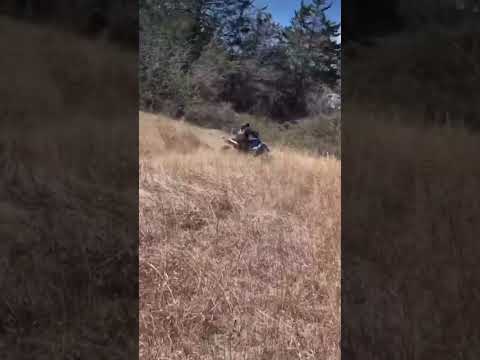 Insane ATV 4