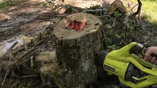 Is This the Best Way to Burn a Stump?  A Subscriber Suggested it, so I Tried It!