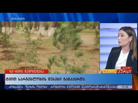 ტყით სარგებლობის წესები გამკაცრდა