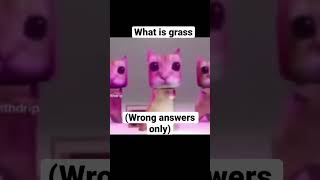 What is grass