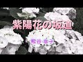 熊谷幸子/紫陽花の坂道【うたスキ動画】