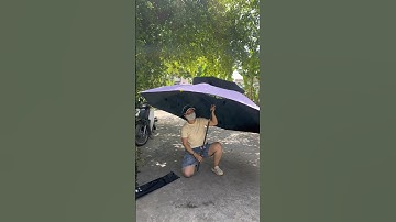 Ô dù câu cá wanghai | tiệm đồ câu cá nhiệt tình #câu #dungcucauca #mkfishing #cauca