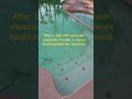 What to do after adding any granular shock to your pool! #howto #poolmaintenance #swimmingpool #diy