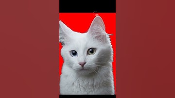 Learn edit photos with adobe photoshop basic step #shorts # 103