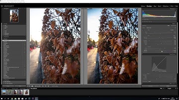 How a Simple Edit Can Transform a Photo | Adobe Lightroom Classic CC