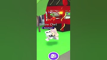 Mimi run (dumb dumb)