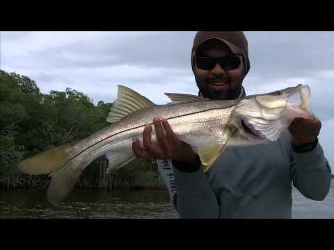 Nice Snook !   Pat Get's Lucky JoeyFlatsFishing.com 2014
