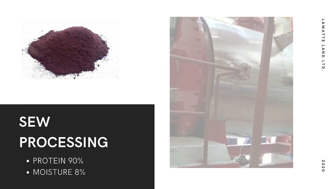 BLOOD MEAL PLANT BY SEW