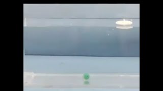 Density: Sink and Float for Solids - a Riccardo Demo
