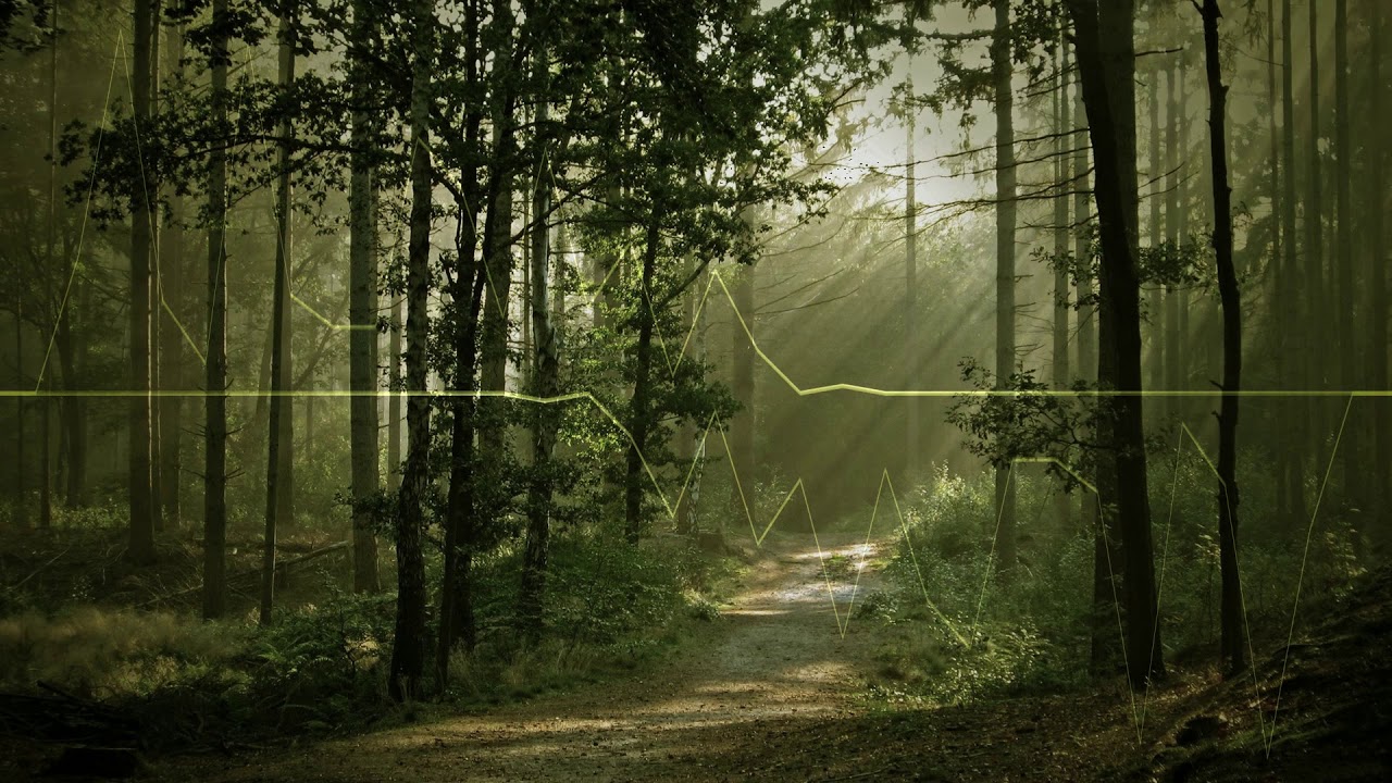 I Am The Trees (Electronic Music) YouTube