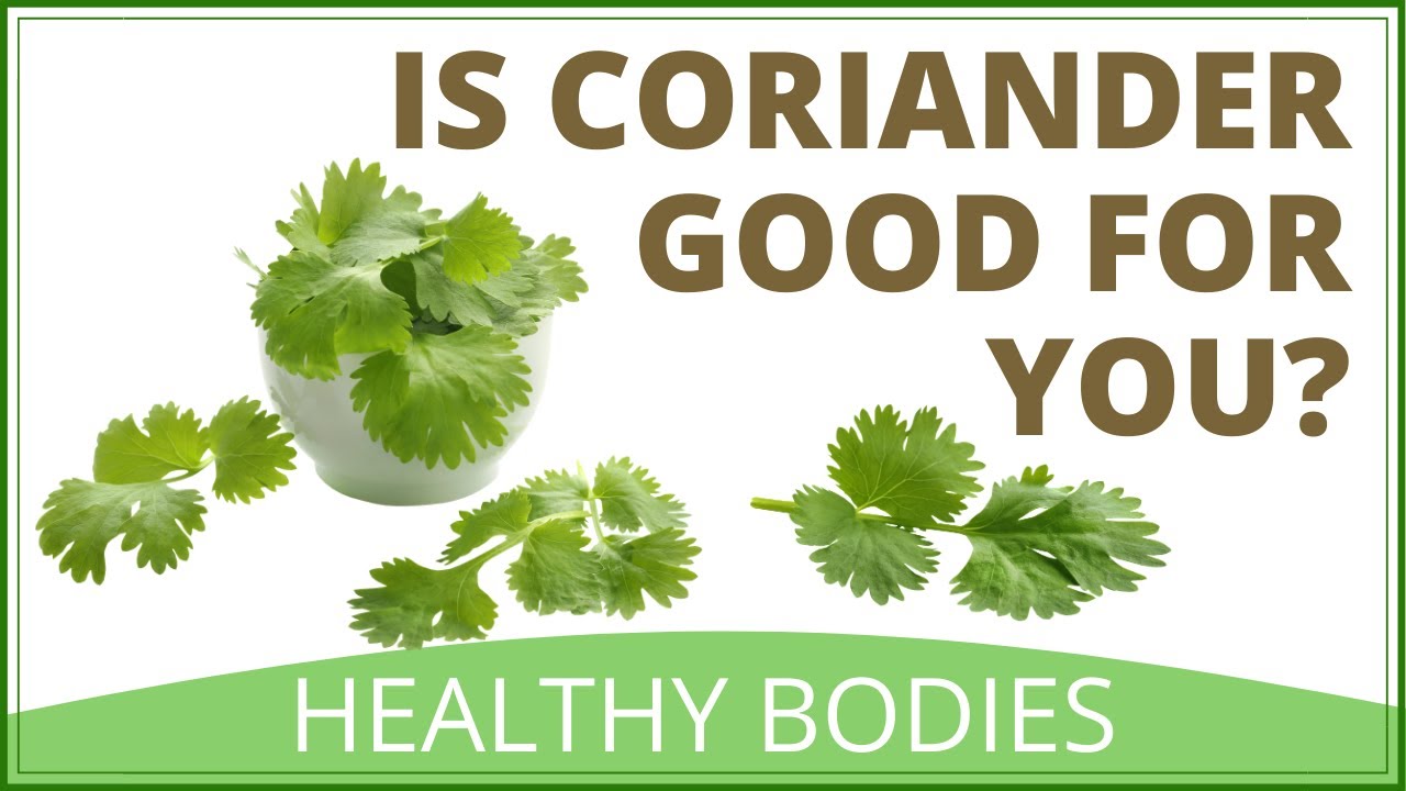 Is Coriander Good For You YouTube