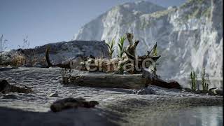 White Sand Beach Near Rocky Cliffs at Ocean | Motion Graphics - Envato elements
