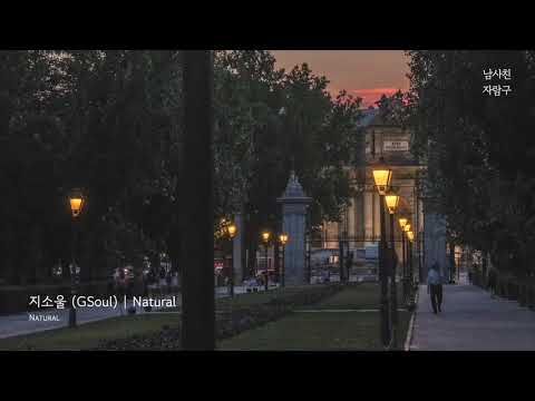 Playlist: So Good I Stopped to Search Every Song | Calm \u0026 Healing Tunes for Studying