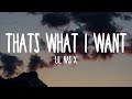 Lil Nas X - THATS WHAT I WANT (Lyrics)