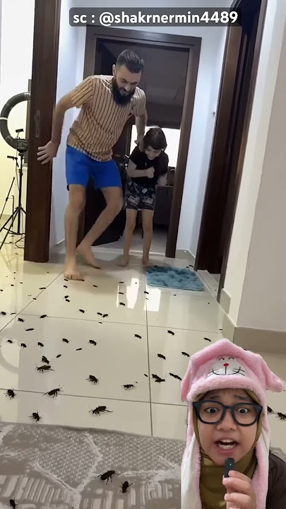 oh there aren't many cockroaches here #short #remix