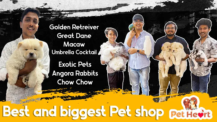 Watch the video about Exotic pets || dogs || persian cats|| telugu vlogs || Hyderabad best and biggest exotic pet showroom