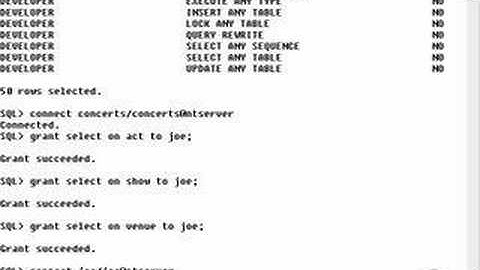 learning oracle application developer 54