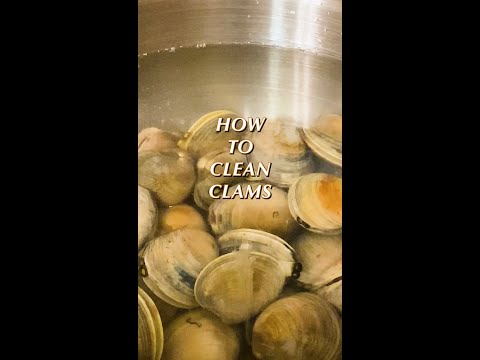Videó: A kagylót teljesen le kell zárni főzés előtt?