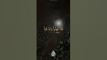 تلاوة بصوت الشيخ  محمد صديق المنشاوي  سورة محمد #اكسبلور #المصحف #الظروف