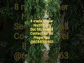 8 marla corner sec 68, Mohali