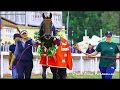 ЦМИ.Ипподром.Джек Пот-В Кондратюк.Часть 17. Rashen Bega Horse.