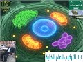 التركيب العام للخلية رحلة استكشافية إلى أعماق الخلية ثاني عشر علوم بيئة اول 