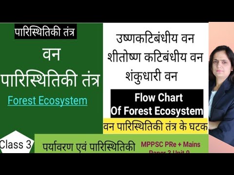 Class 3 वन पारिस्थितिकी तंत्र || पर्यावरण एवं पारिस्थितिकी || Ecosystem ||MPPSC Mains Unit 9 Paper 3