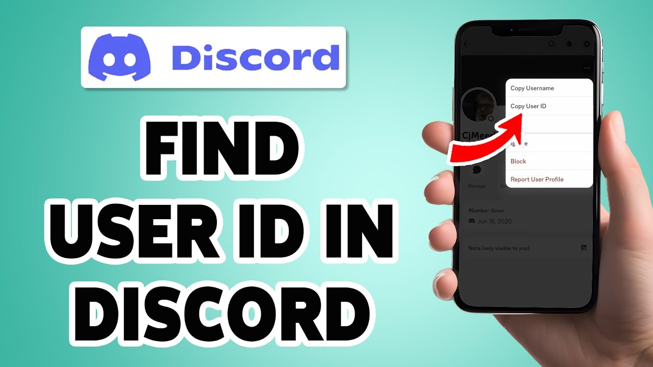 Discord Identifier How To Find User ID In Discord 2025 | See Someone's Discord User ID ...