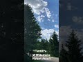 N1522V WTF Violent Attack Dawn Patrol A-Holes Northville MI #aerialstalker