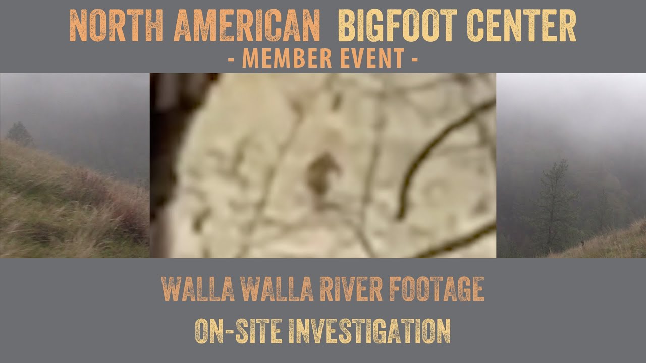 Walla Walla River Bigfoot Footage. (with subtitles)