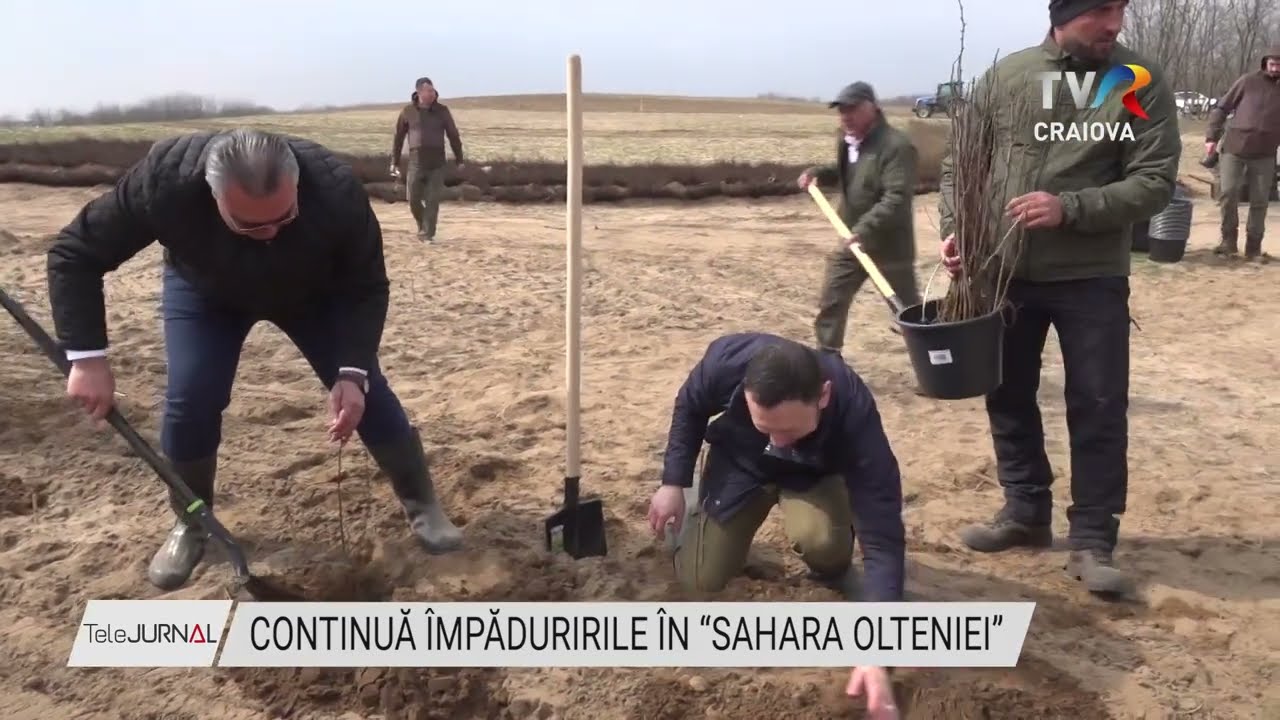 CONTINUĂ ÎMPĂDURIRILE ÎN “SAHARA OLTENIEI”